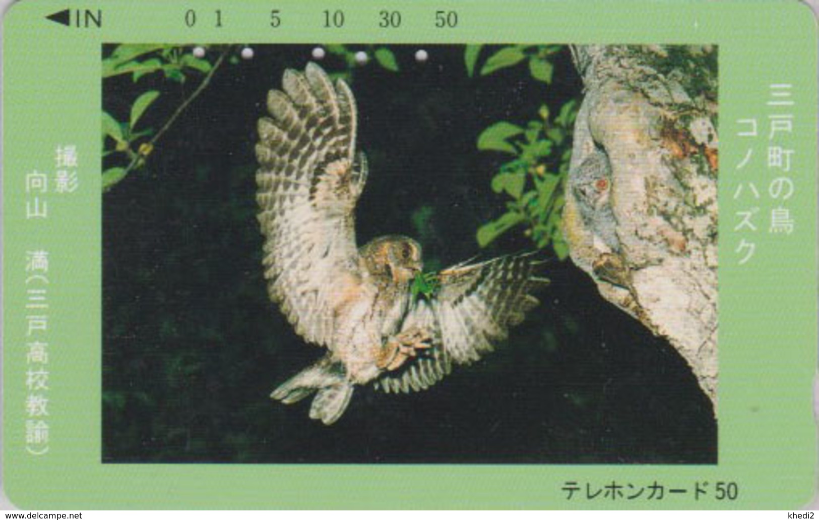 RARE Télécarte Japon / 410-5508 - ANIMAL - OISEAU - HIBOU - OWL BIRD Japan Phonecard - EULE TK - 4288 - Uilen