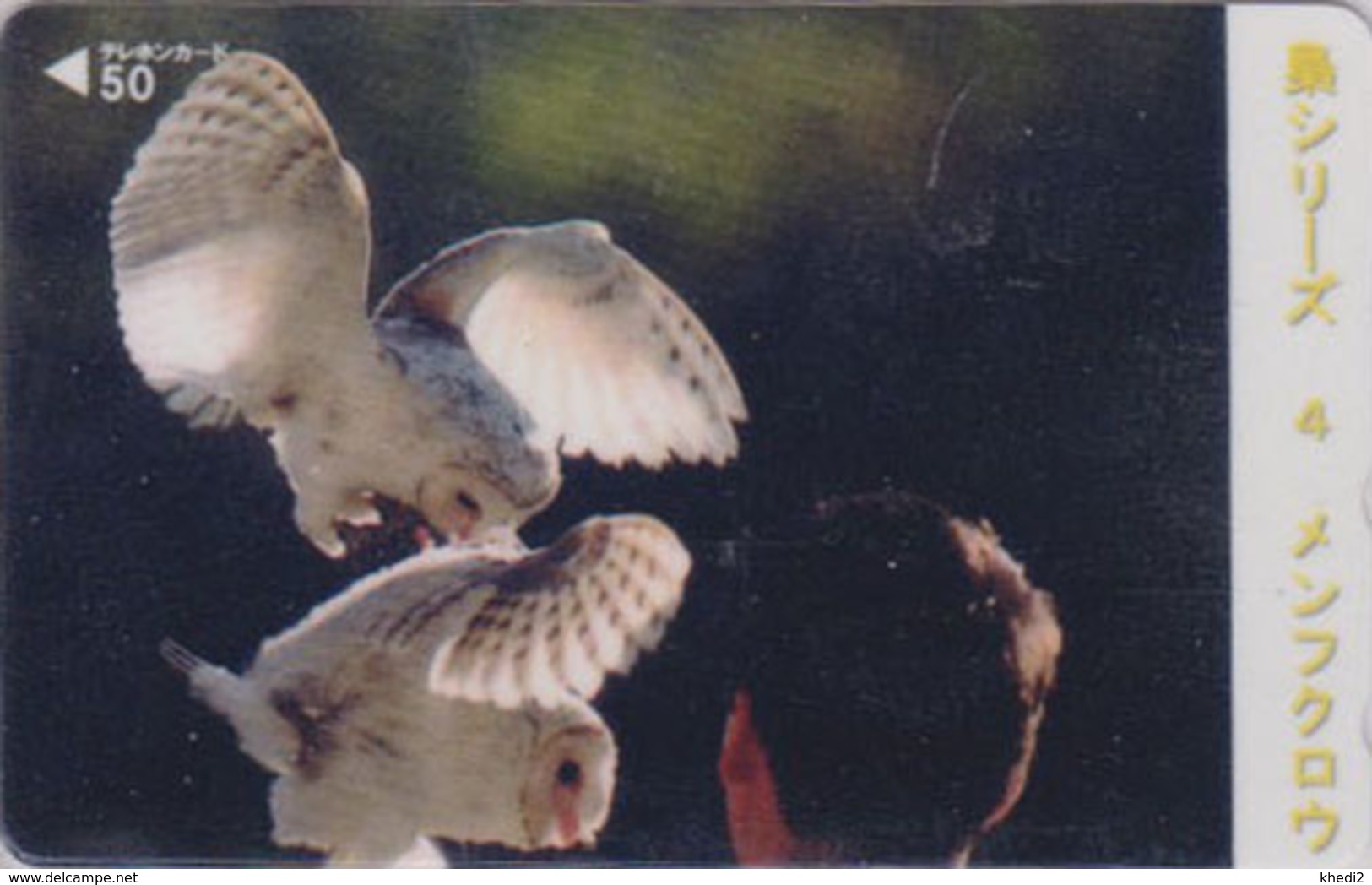 RARE TC NEUVE Japon / 110-016 - ANIMAL - FALCONERY  Oiseau HIBOU CHOUETTE EFFRAIE - OWL BIRD Japan MINT Phonecard - 4290 - Hiboux & Chouettes