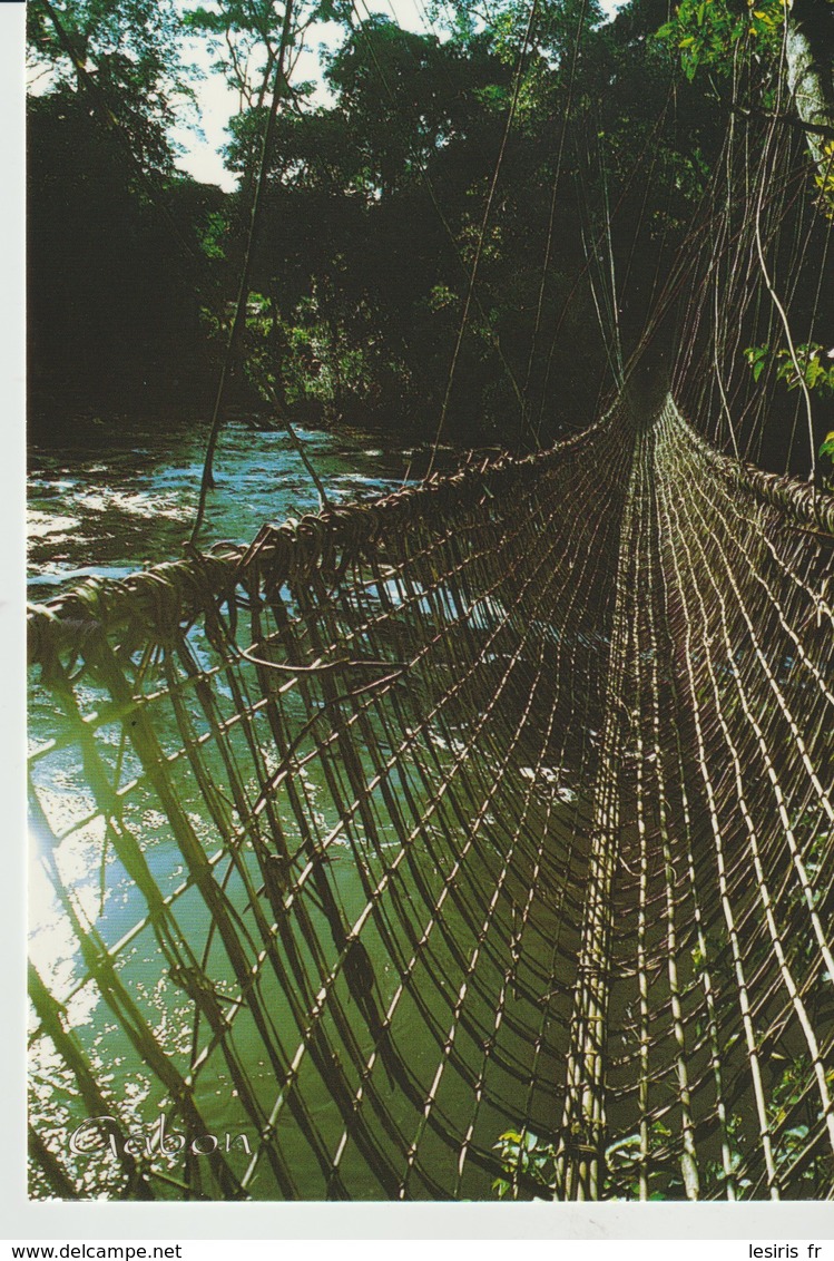 CP - IMAGES DU GABON - PONT DE LIANES SUR L'OGOOUE A POUBARA - A 001 L - TROPICOLOR - Gabón