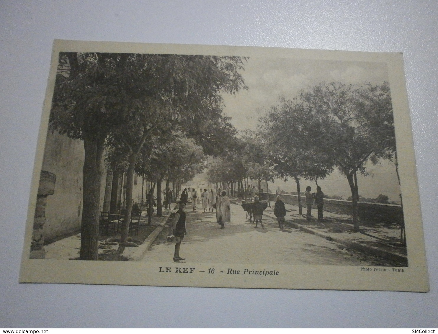 Tunisie. Le Kef. Lot De 2 Cartes. Camp Des Oliviers / Rue Principale (A8p15) - Tunisie