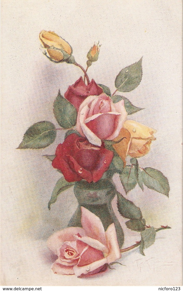 "A.F. Armitage" Beautiful Roses" Tuck Oilette Fair Flora Series PC # 8455 - Tuck, Raphael