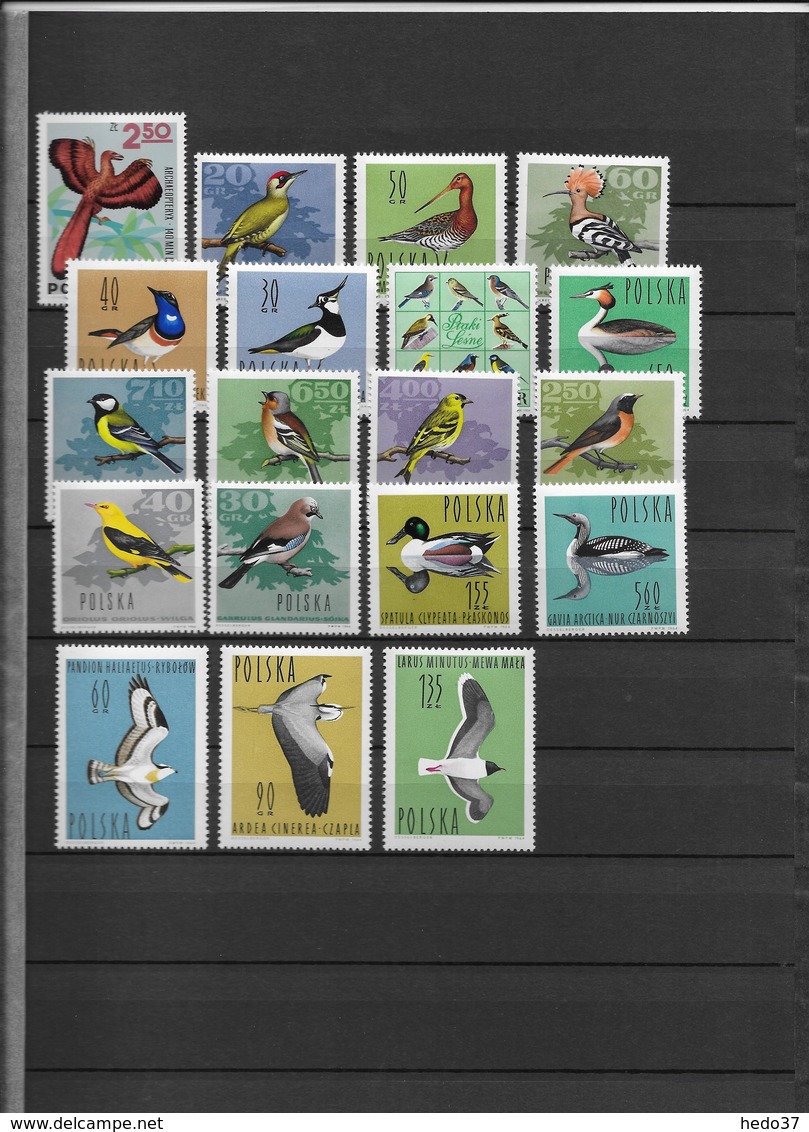 Thème Oiseaux - Pologne -  Neufs **/* - Colecciones & Series