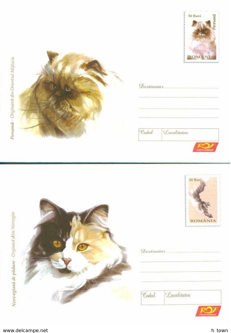 6199  Chats: Serie, 6 PAP Roumanie, 2006 -  Set Of 6  Cat  Postal Stationery Covers From Romania. Cats Chat - Chats Domestiques