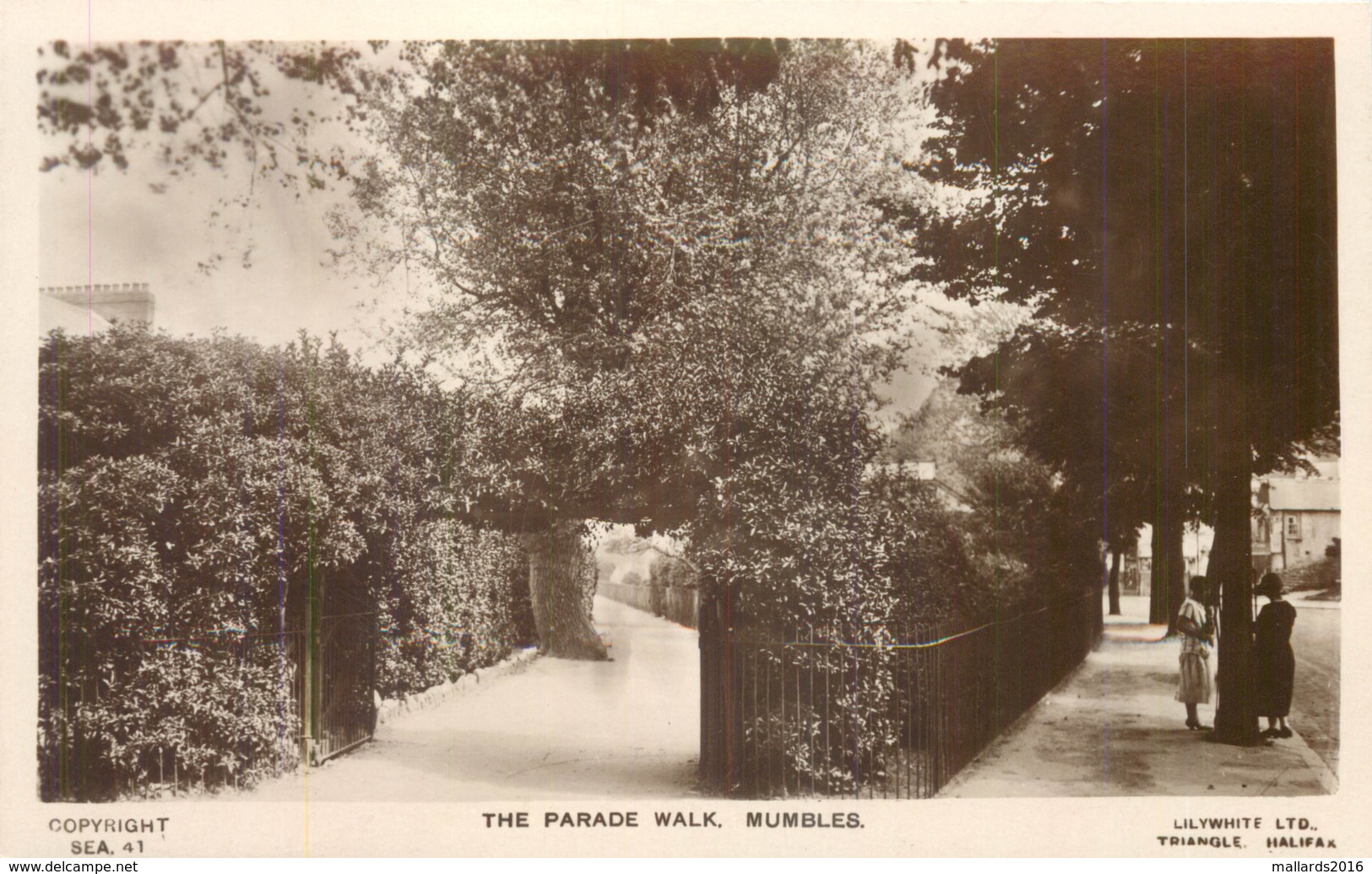 THE PARADE WALK - MUMBLES ~ AN OLD REAL PHOTO POSTCARD #91516 - Glamorgan