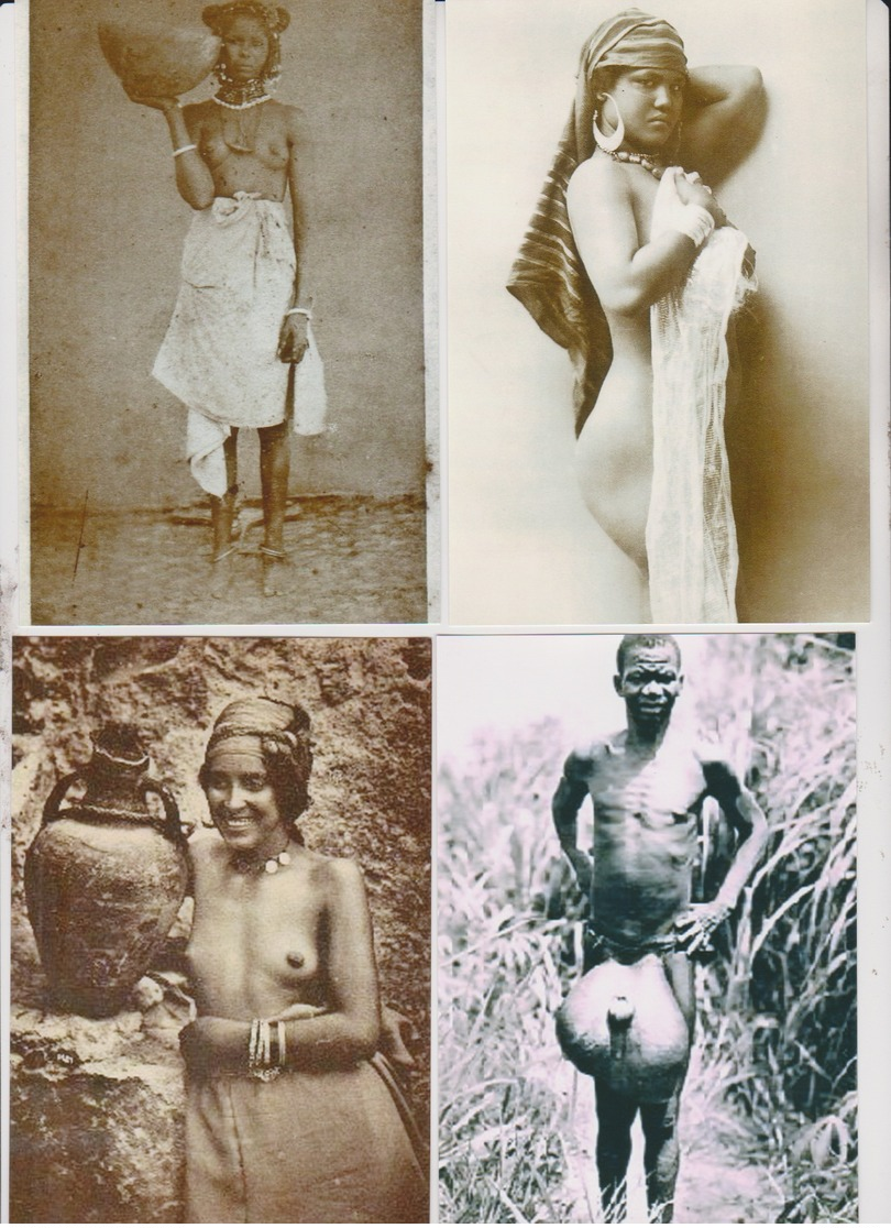 Lot - Photo Afrique  - Reproduction - NU ETHNIQUE  -  152X113 - 50 Vues - Voir Scans - Ethniciteit & Culturen