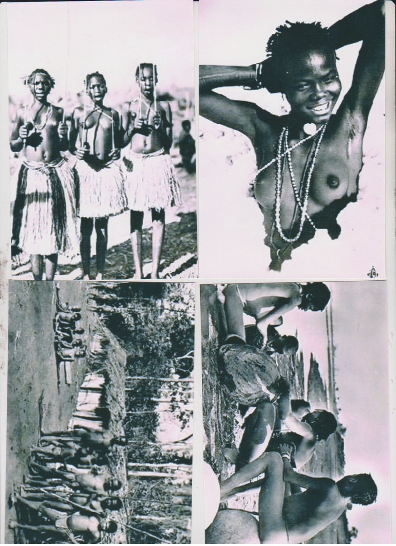 Lot - Photo Afrique  - Reproduction - NU ETHNIQUE  -  152X113 - 50 Vues - Voir Scans - Ethniques, Cultures