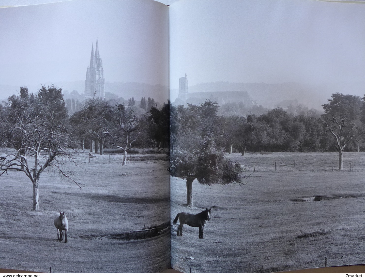 Aisne // Jean-Pierre Gilson, Jacques Drillon - Le Don Du Silence (livre + CD ) - Picardie - Nord-Pas-de-Calais