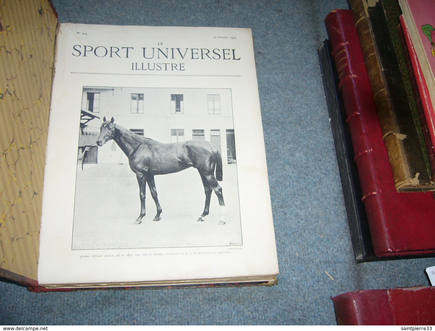 ( Sport Equestre équitation Cheval Yachting Voile ) Le Sport Universel Illustré  1900 23 Numéros - 1801-1900