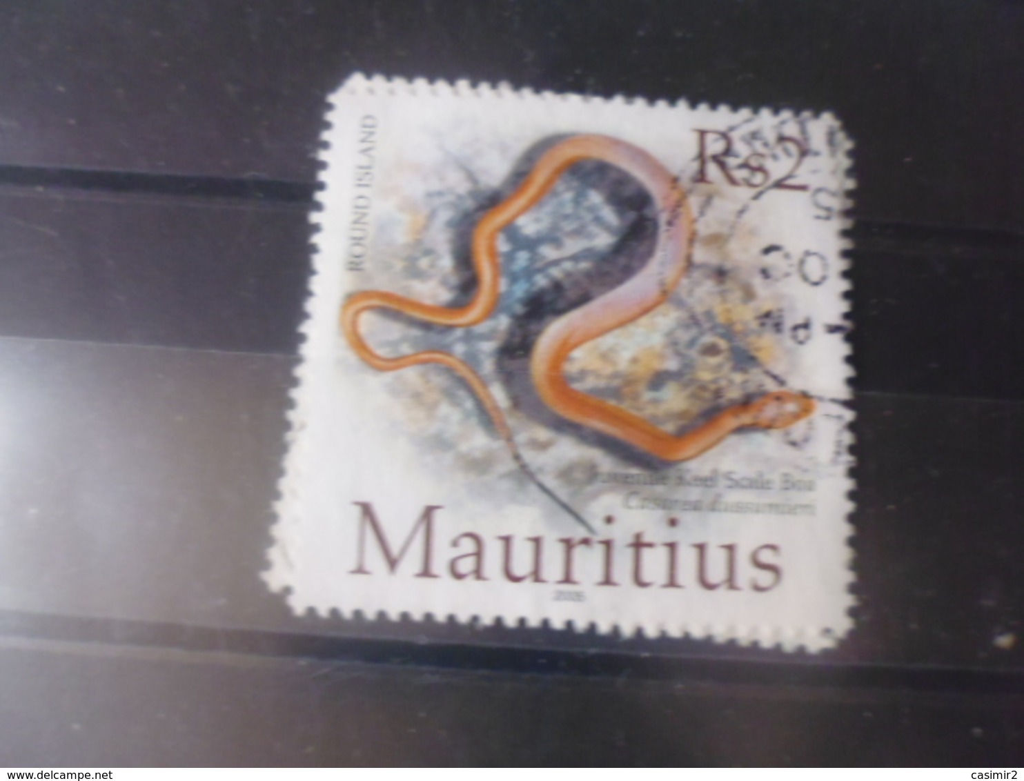 MAURICE YVERT N° 1040 - Mauritius (1968-...)