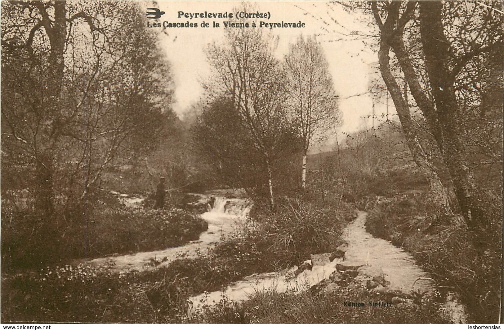 PEYRELEVADE CASCADES DE LA VIENNE - Autres & Non Classés