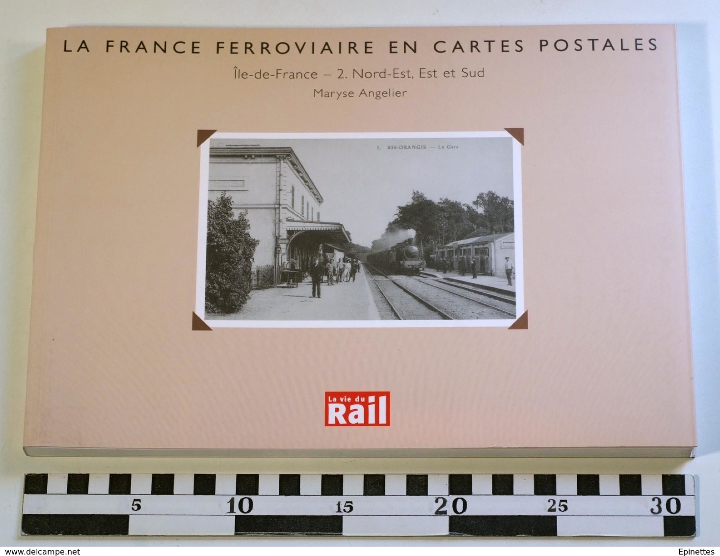 LA FRANCE FERROVIAIRE EN CARTES POSTALES - Ile-de-France 2: Nord-Est, Est Et Sud, Maryse Angelier, 2003, La Vie Du Rail - Autres & Non Classés