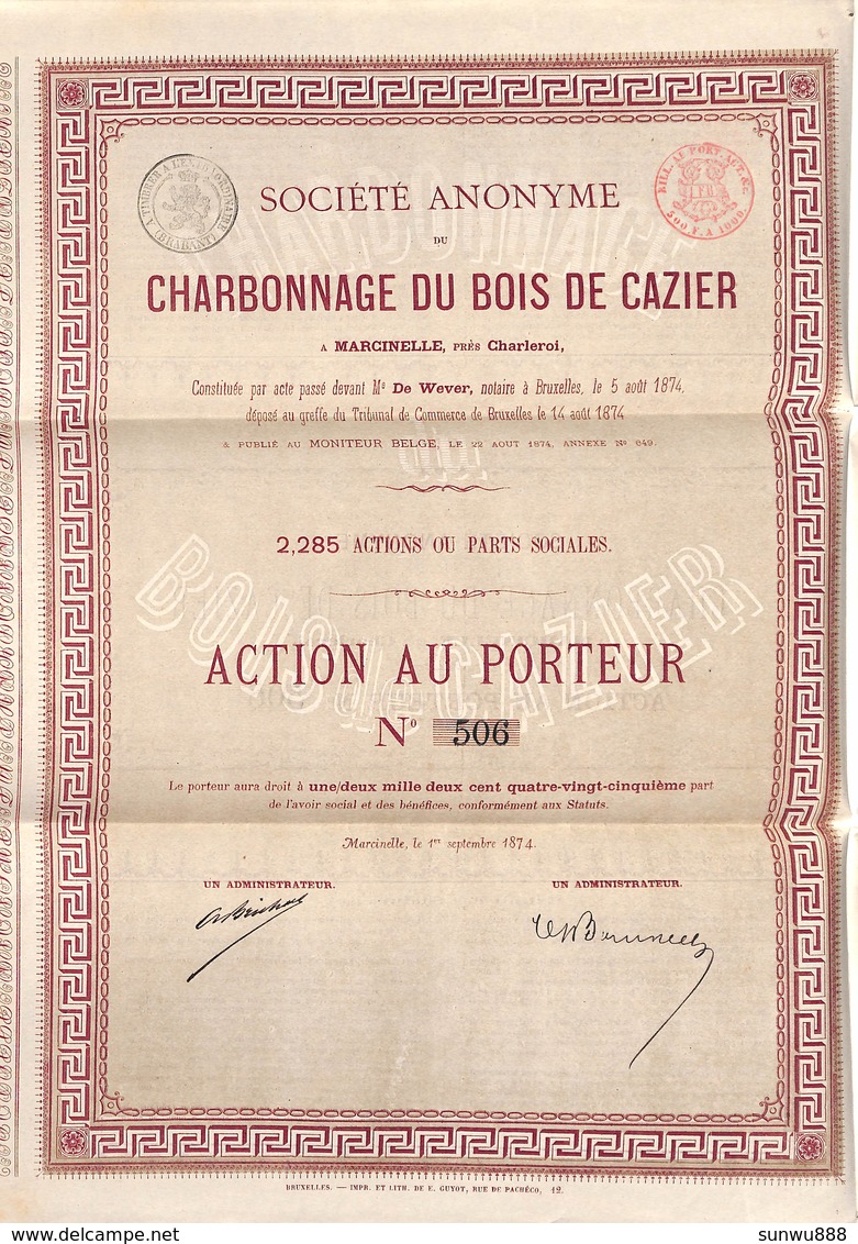 Charbonnage Du Bois De Cazier (1874) - Action Au Porteur Avec Coupons Marcinelle - Mines