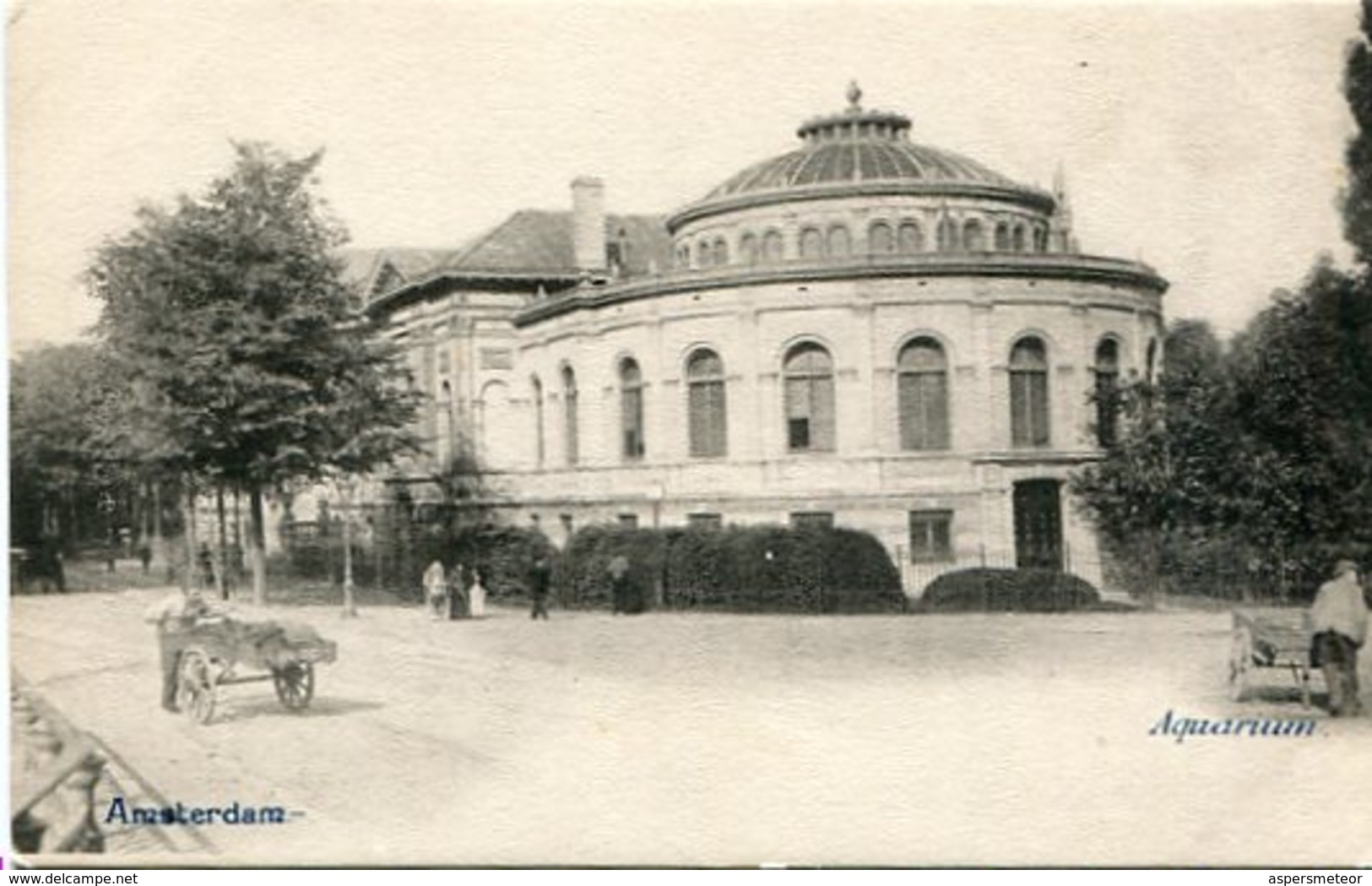 AMSTERDAM - AQUARIUM. NETHERLANDS POSTAL CPA CIRCA 1900's NOT USED -LILHU - Amsterdam