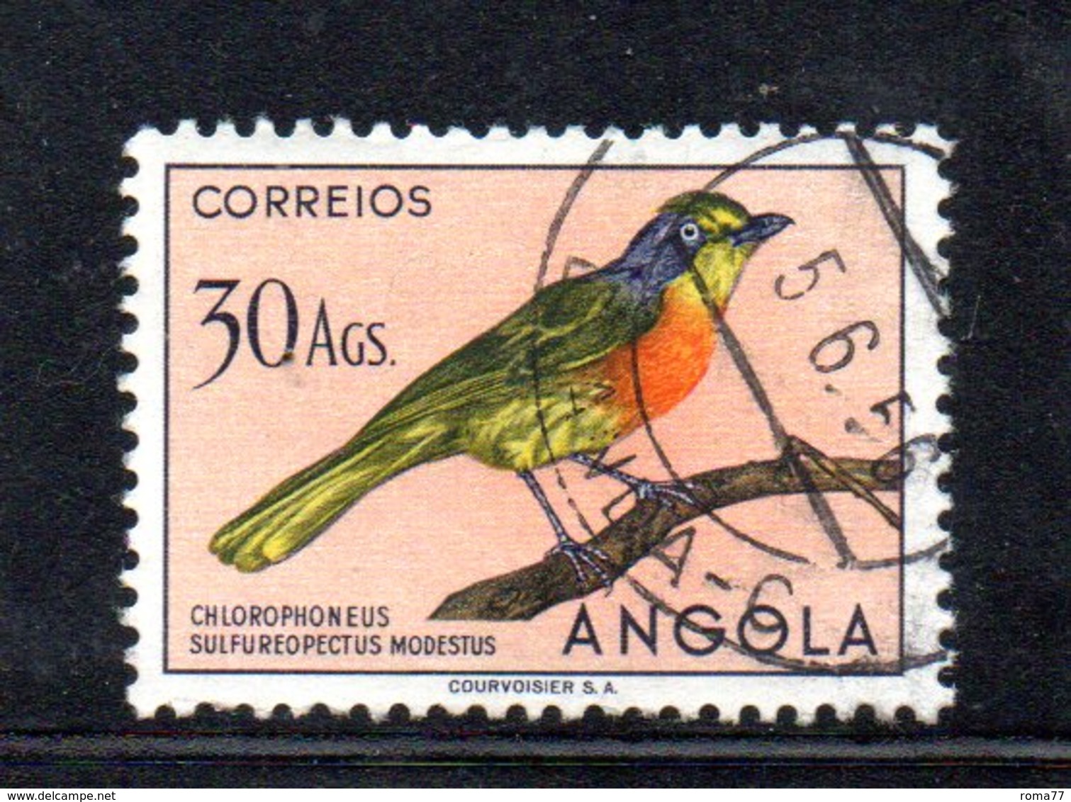 APR235 - ANGOLA 1951 , 30 Ags Yvert N. 349  Usato  (2380A) . - Angola