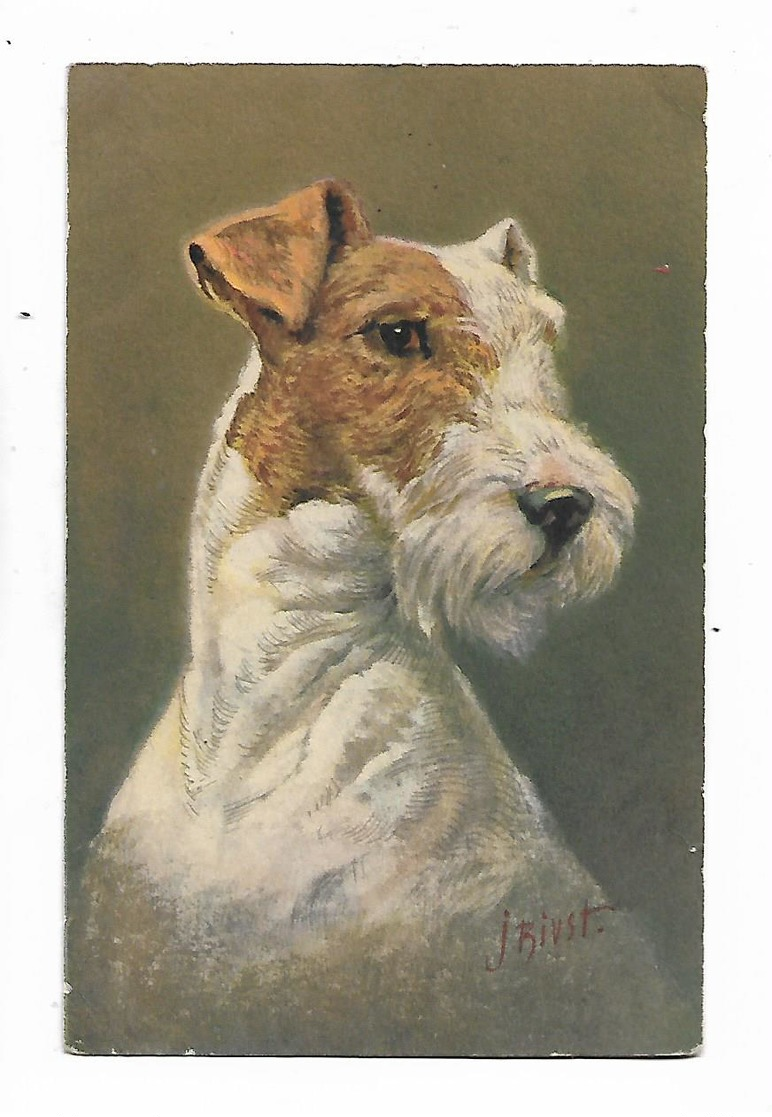 Illustrateur  Rivst    -  Chien  -  Dog  Terrier - Chiens