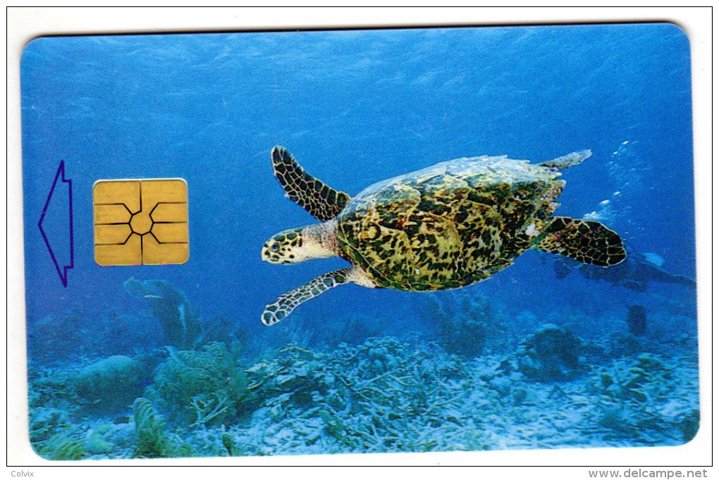 ANTILLES NEERLANDAISES BONNAIRE REF MV CARDS BON-14  Année 1999 TORTUE - Antillen (Niederländische)