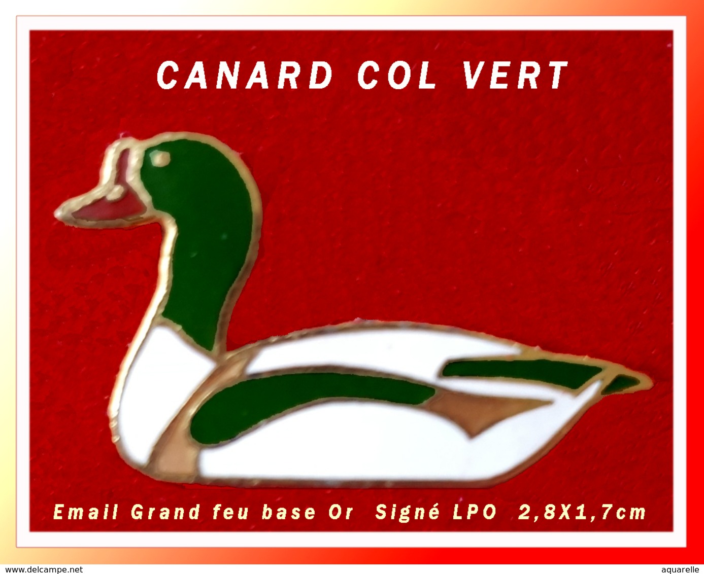 SUPER PIN'S CANARD : Belle Création émail Grand Feu Pour Ce CANARD COL VERT Signé LPO, Format 2,8X1,7cm - Animaux