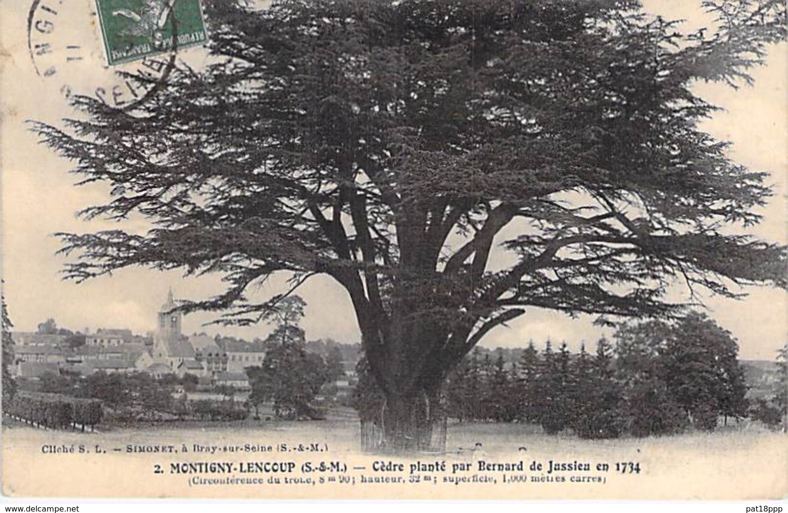 ARBRES - 77 - MONTIGNY LENCOUP : Cèdre Du Liban Planté Par Bernard De Jussieu En 1734 - CPA Tree Arbre Bome Boom Albero - Arbres