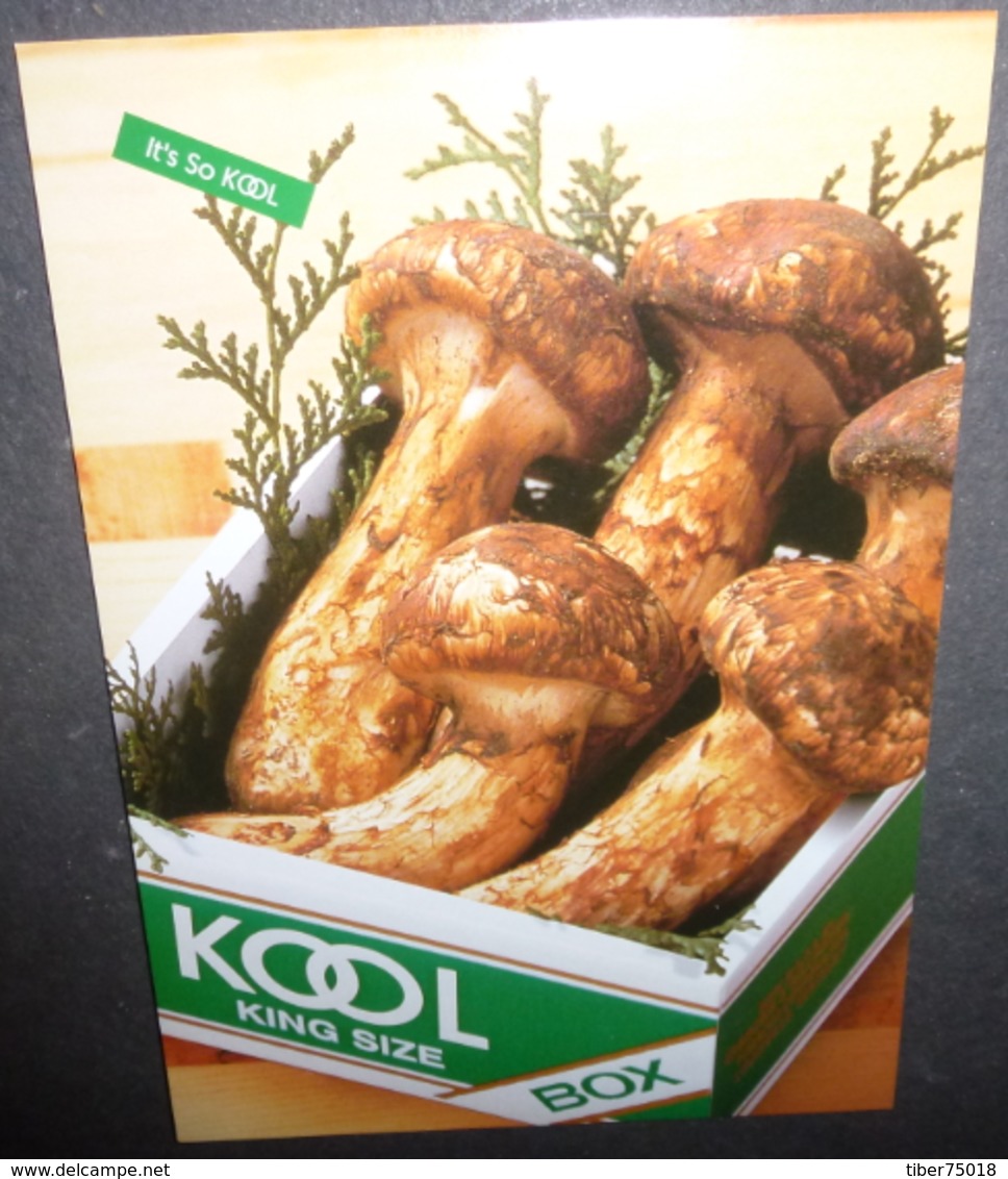 Carte Postale - Kool Autumn Special American Flavorful Menthol Cigarette (champignons) - Publicité