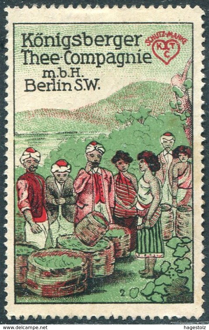 Germany East Prussia Ostpreußen KÖNIGSBERG Thee-Compagnie Tea Company Thé Té Tee Poster Vignette Reklamemarke Cinderella - Sonstige & Ohne Zuordnung