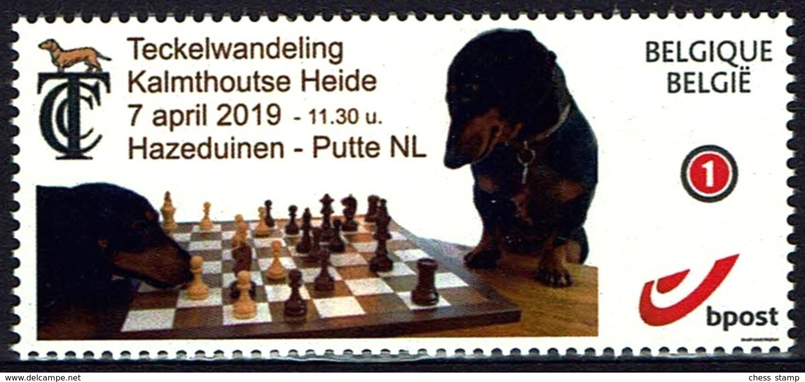 Schach Chess Ajedrez 2019 - Belgiien Belgie Belgium - Teckel Curiosa Club - Dackel - MiNr 4229 - Schach