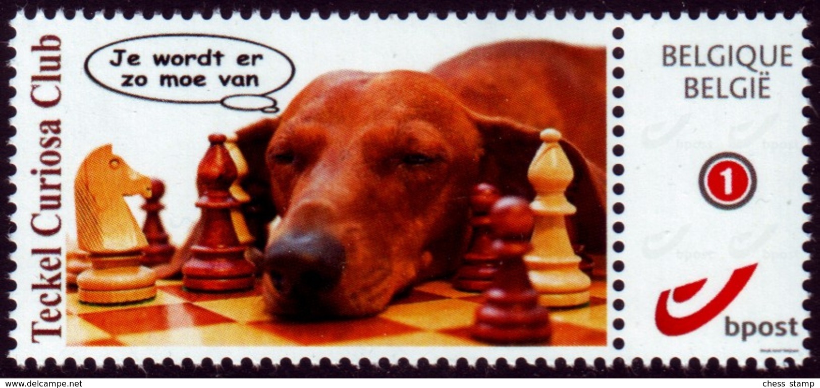 Schach Chess Ajedrez échecs - Belgiien Belgie Belgium - Teckel Curiosa Club - Dackel - MiNr 4228 - Sonstige & Ohne Zuordnung