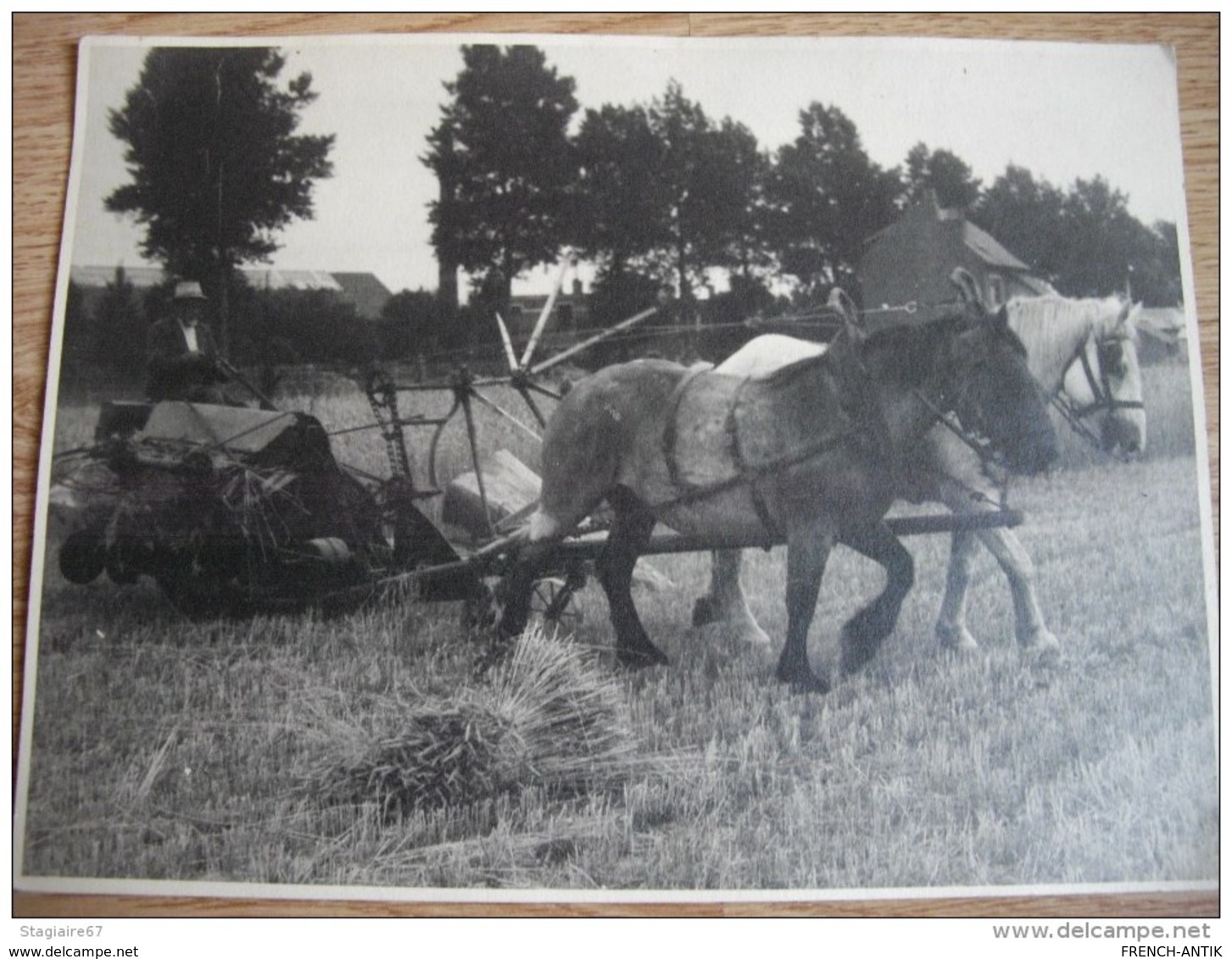 PHOTO LEERS WATTRELOS LYS LEZ LANNOY AGRICULTURE CHEVAUX PAYSAN MOISSON - Profesiones