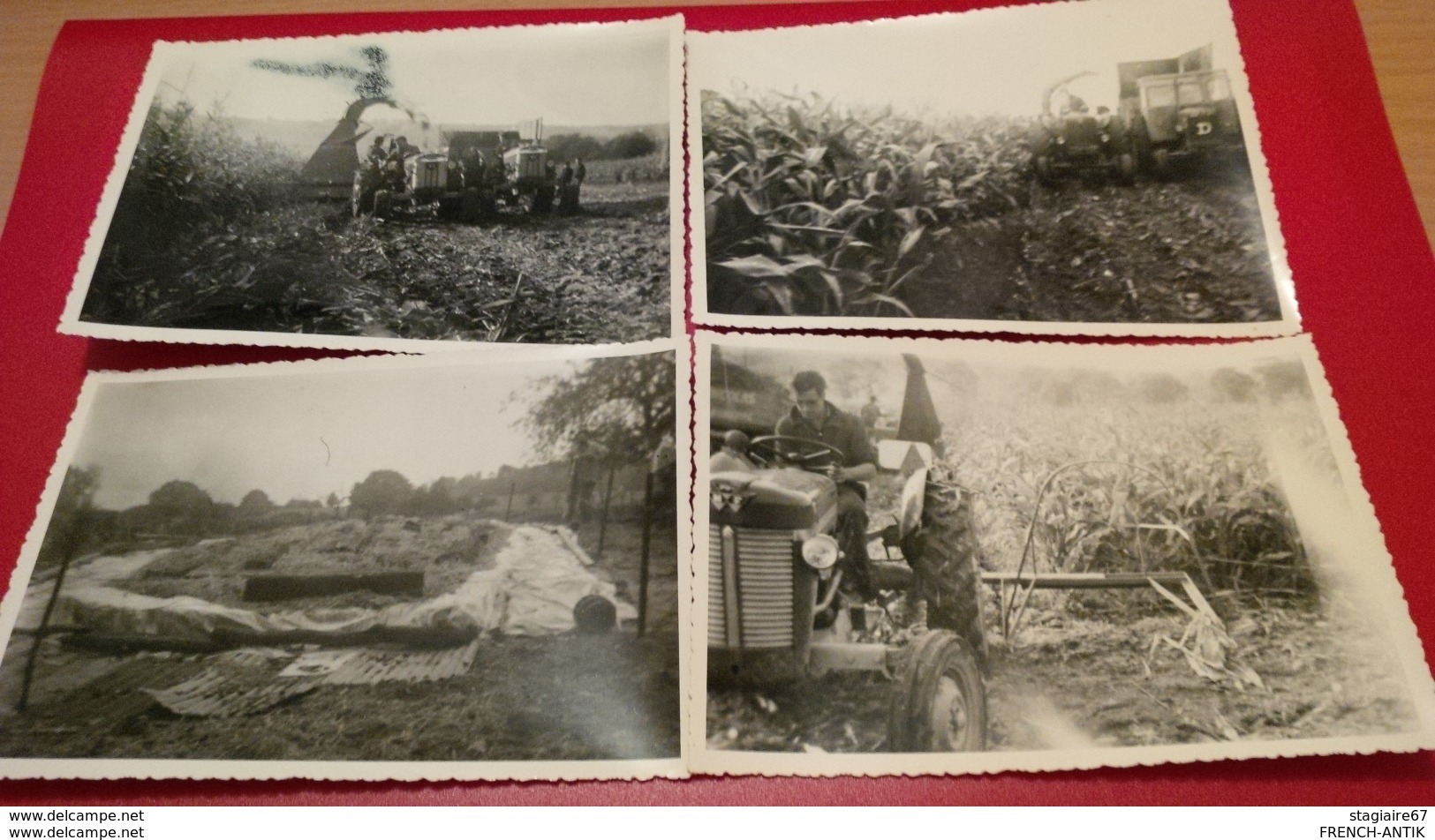 DOUZY ARDENNES LOT 16 PHOTOGRAPHIE AGRICULTURE TRACTEUR 1961 - Berufe