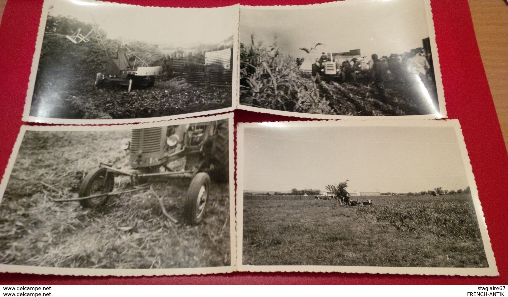 DOUZY ARDENNES LOT 16 PHOTOGRAPHIE AGRICULTURE TRACTEUR 1961 - Métiers