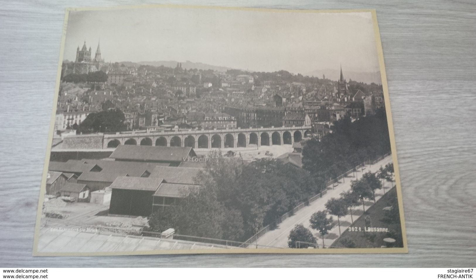 PHOTO AVANT 1900 SCHROEDER LAUSANNE ET ZURICH COLLER SUR CARTON - Old (before 1900)