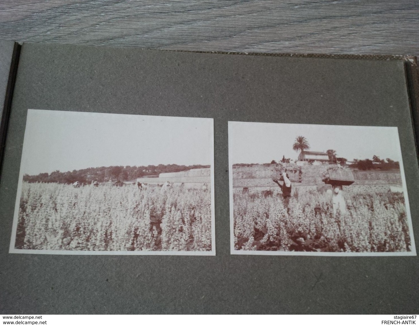 ALBUM DE FAMILLE LIEUX A IDENTIFIER METIER CONSTRUCTION AUTOCHENILLE RECOLTE 77 PHOTOS