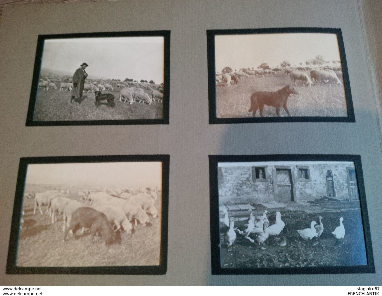 ALBUM PHOTO DE FAMILLE STRASBOURG ET ALSACE GLOIRE AUX VAINQUEURS 1919 MILITARIA PERSONNAGES