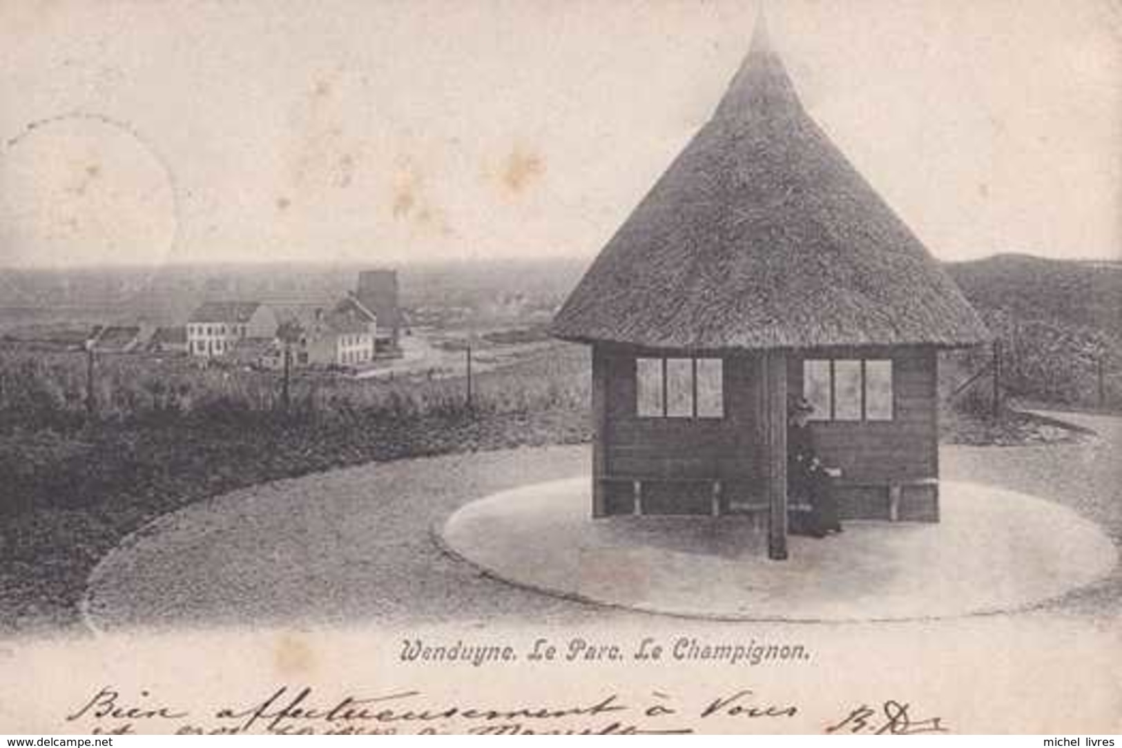 Wenduyne - Le Parc - Le Champignon - Circulé En 1905 - Dos Non Séparé - BE - Wenduine
