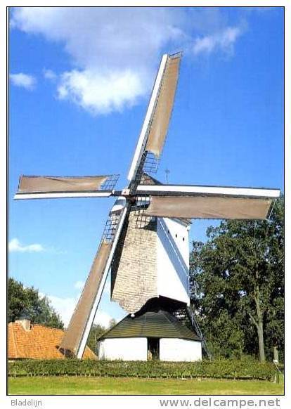 HEIST-OP-DEN-BERG (Antw.) - Molen/moulin - Mooie Opname Van De Gerestaureerde Kaasstrooimolen Met Pandoerenhoeve. - Heist-op-den-Berg