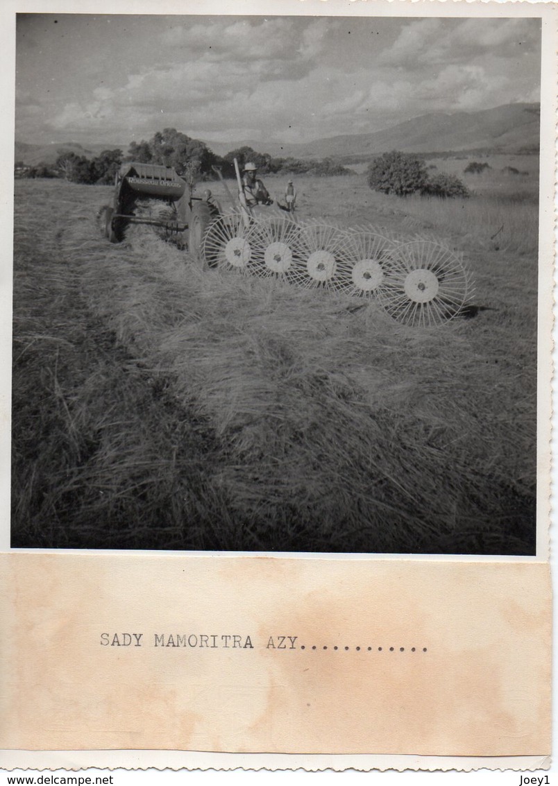 1 LOT De 8 Photos, Moisson à Madagascar Années 50,format 12/17 - Afrique