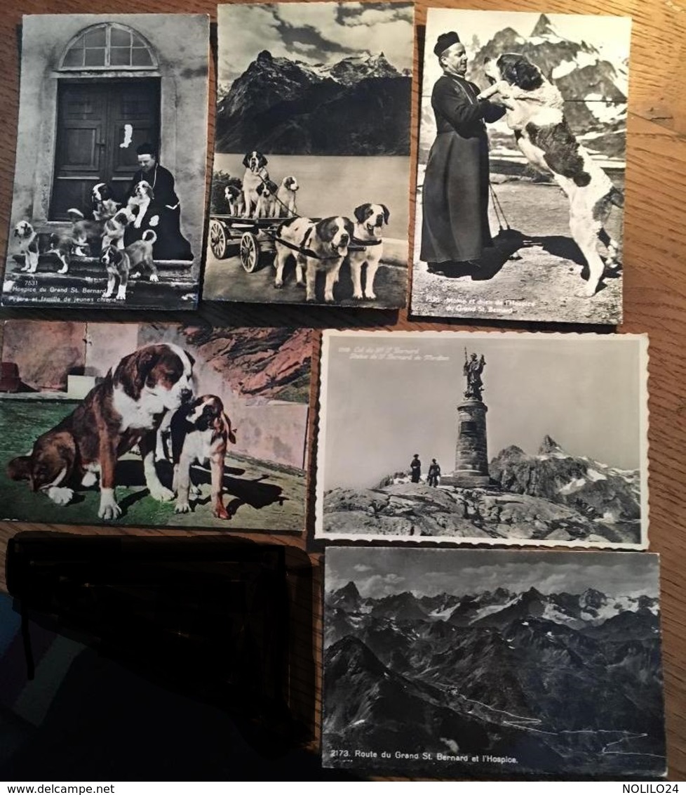 6 Cartes Postales , Saint Bernard, Le Grand St Bernard - Altri & Non Classificati