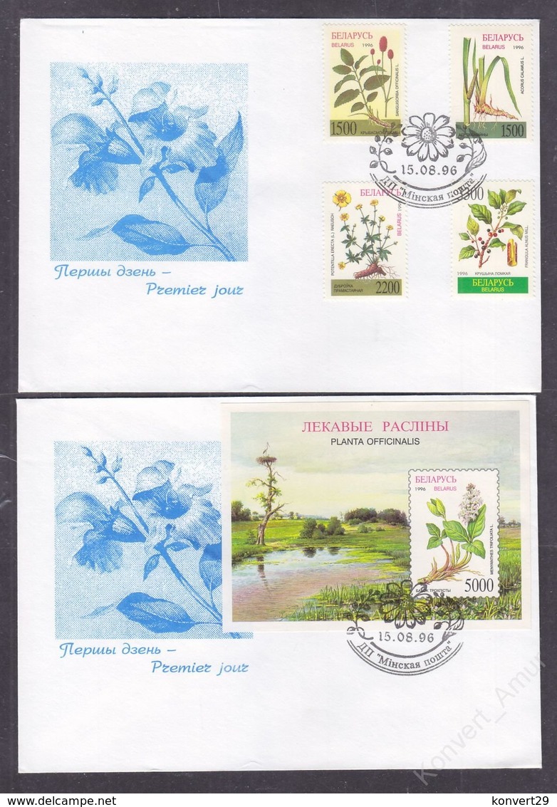 Belarus 1996 Flora Of Belarus - Herbs FDC - Bielorussia