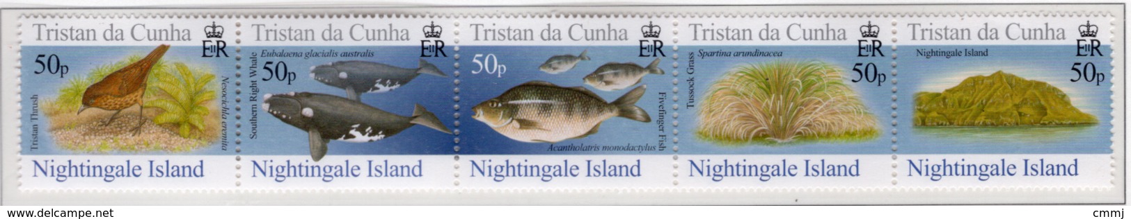 2006 - TRISTAN DA CUNHA - Yv.  Nr. 817/821 - (UP131.23) - Tristan Da Cunha