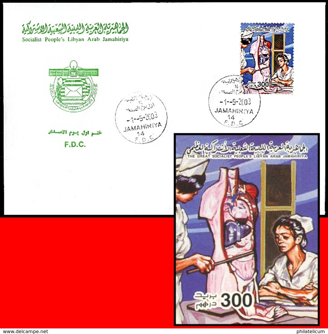 LIBYA - 2003 Health Anatomy Nurse Medicine Gesundheit (FDC) - Medicine