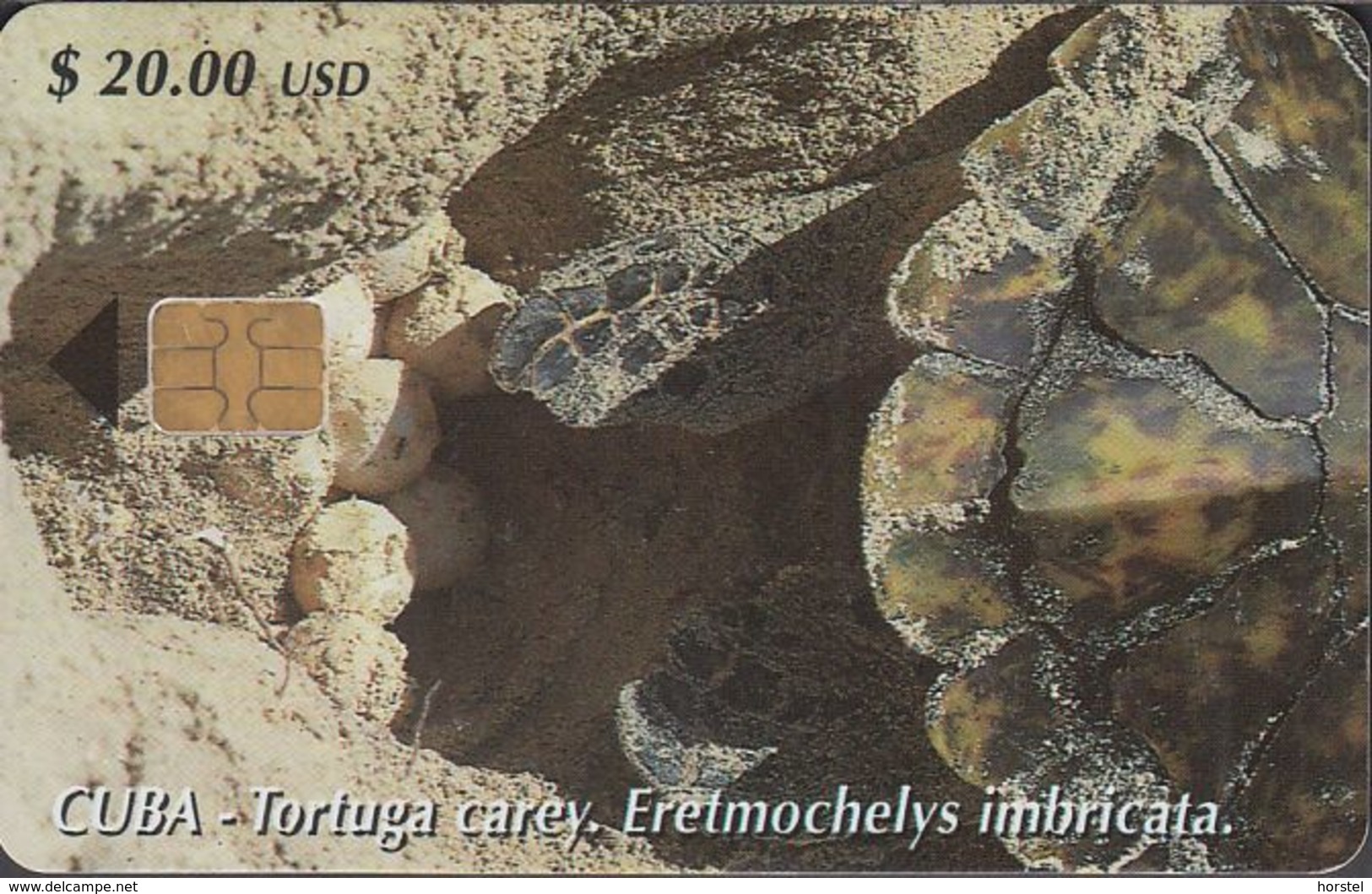 Cuba CUB- 149 Turtle Laying Eggs (Eretmochelys Imbricata) - Schildkröte (30.000x) - Cuba