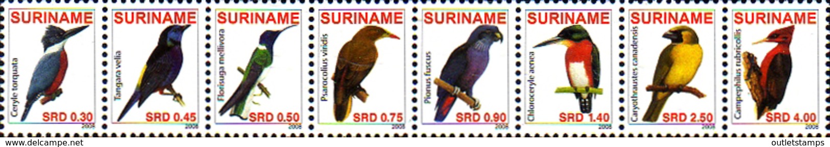 Ref. 238943 * NEW *  - SURINAME . 2008. BIRDS. AVES - Surinam