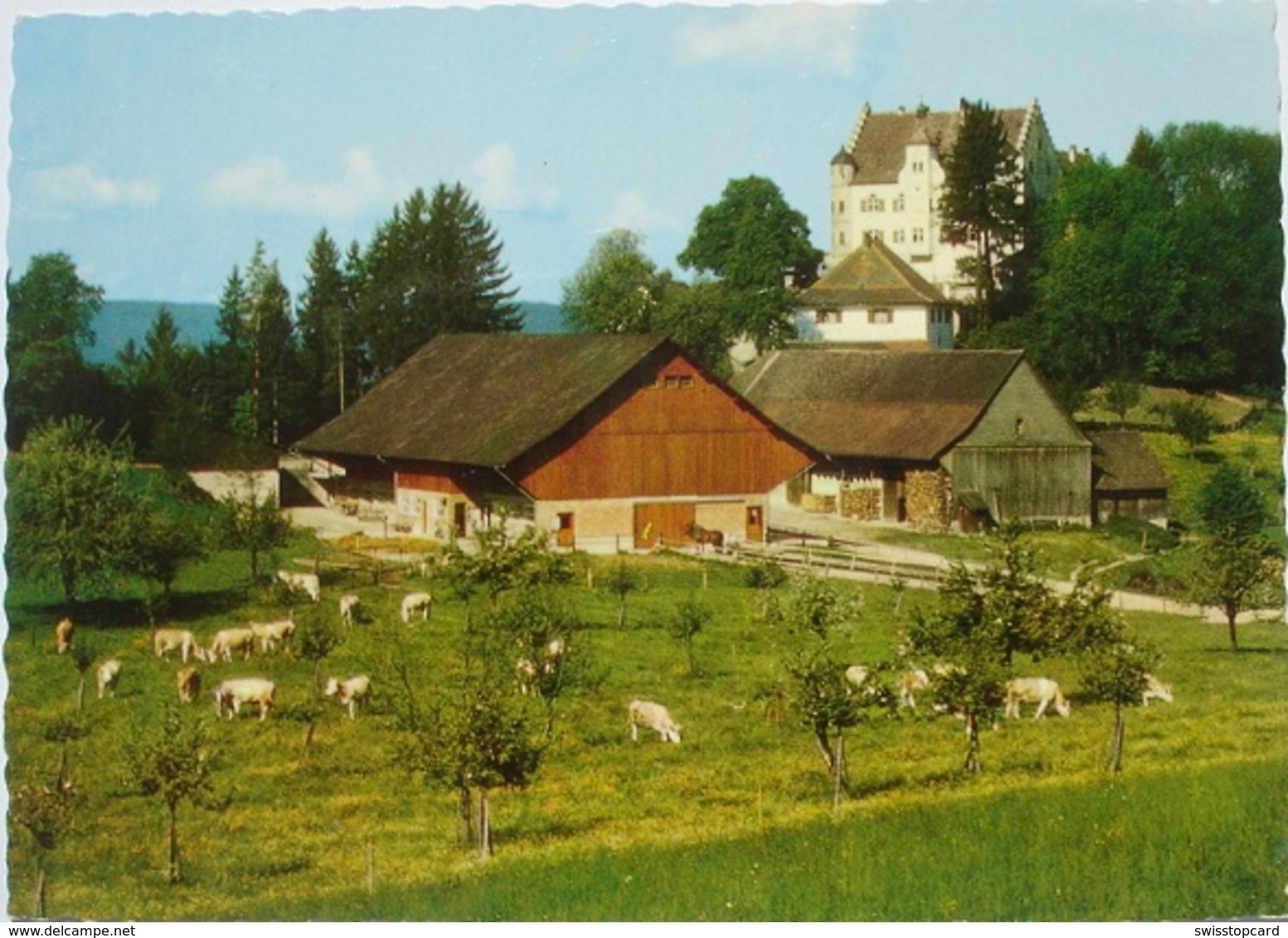 STETTFURT Landwirtschaft Schloss Sonnenberg - Stettfurt