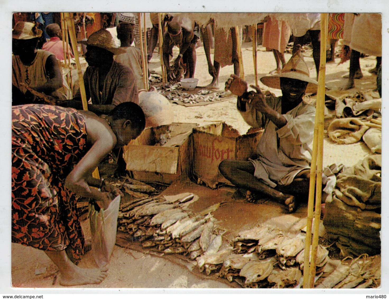 CAMEROUN    MOKOLO   LE POISSON  AU  MARCHE'  DE  KOZA      (VIAGGIATA) - Camerun