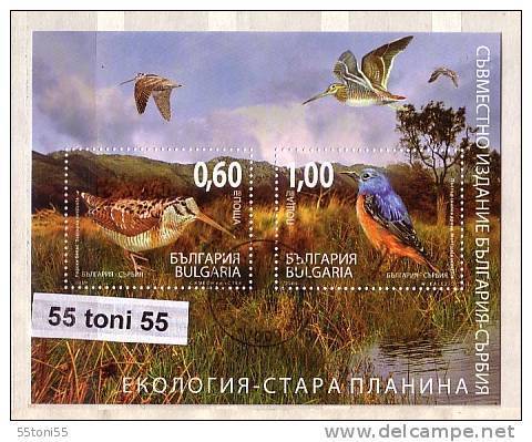 2009 ECOLOGY – Birds S/S- Used/oblitere (O) Bulgaria / Bulgarie - Blocks & Kleinbögen