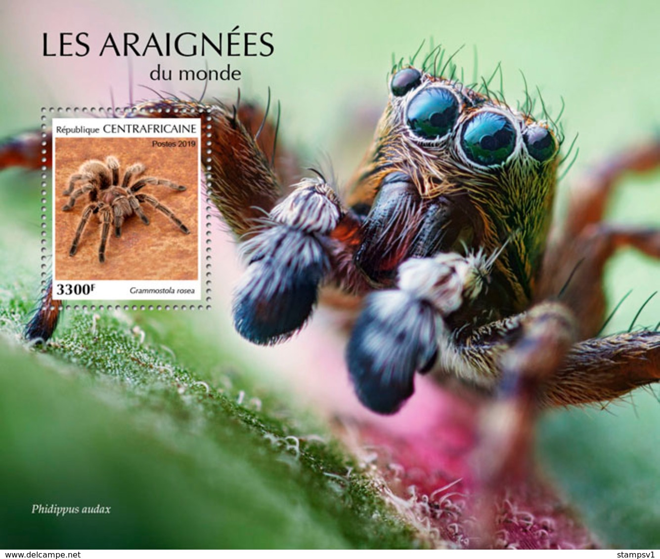 Central Africa. 2019 Spiders. (0208b) OFFICIAL ISSUE - Spiders