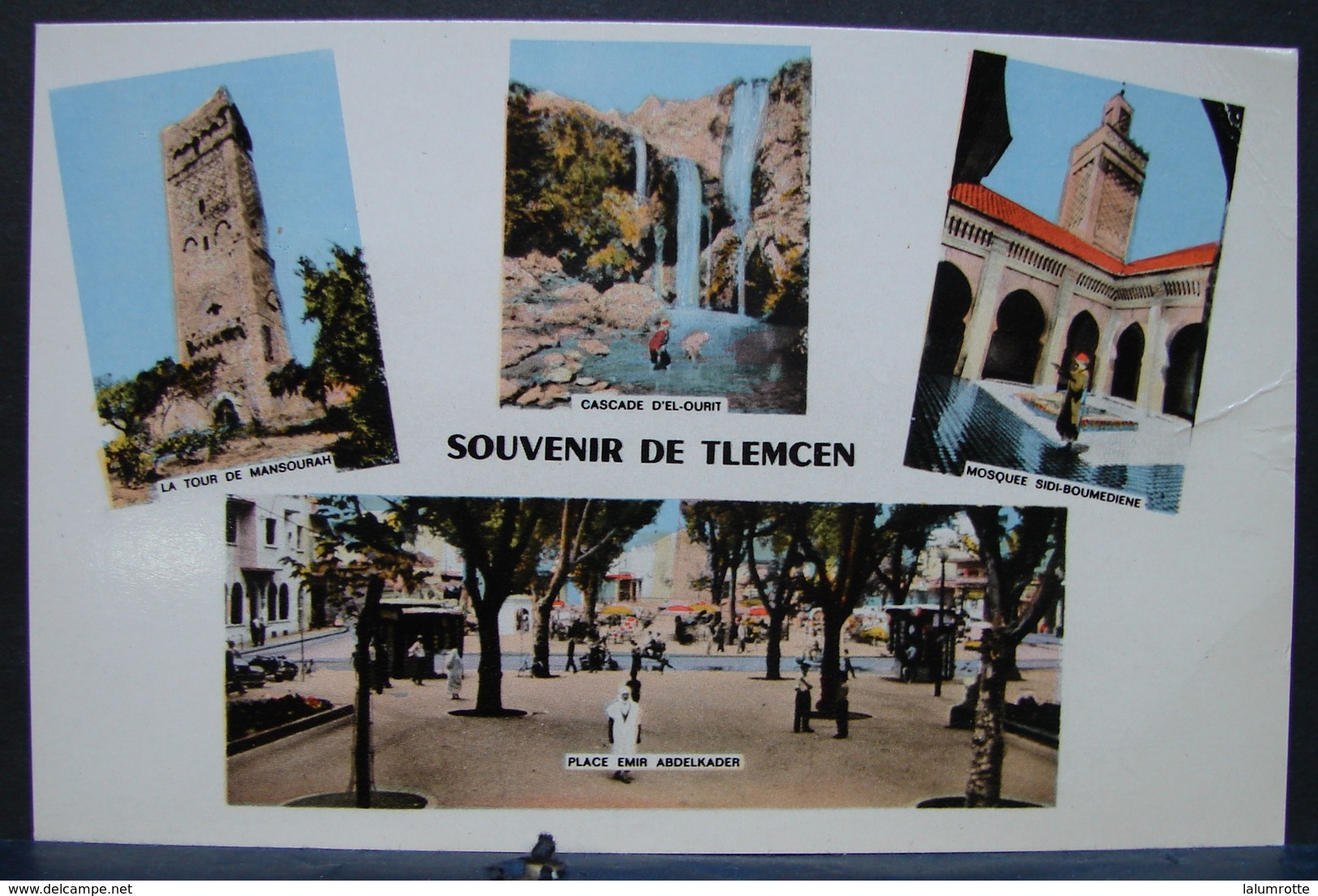 CP. 2538. Algérie. Souvenir De Tlemcen. - Tlemcen