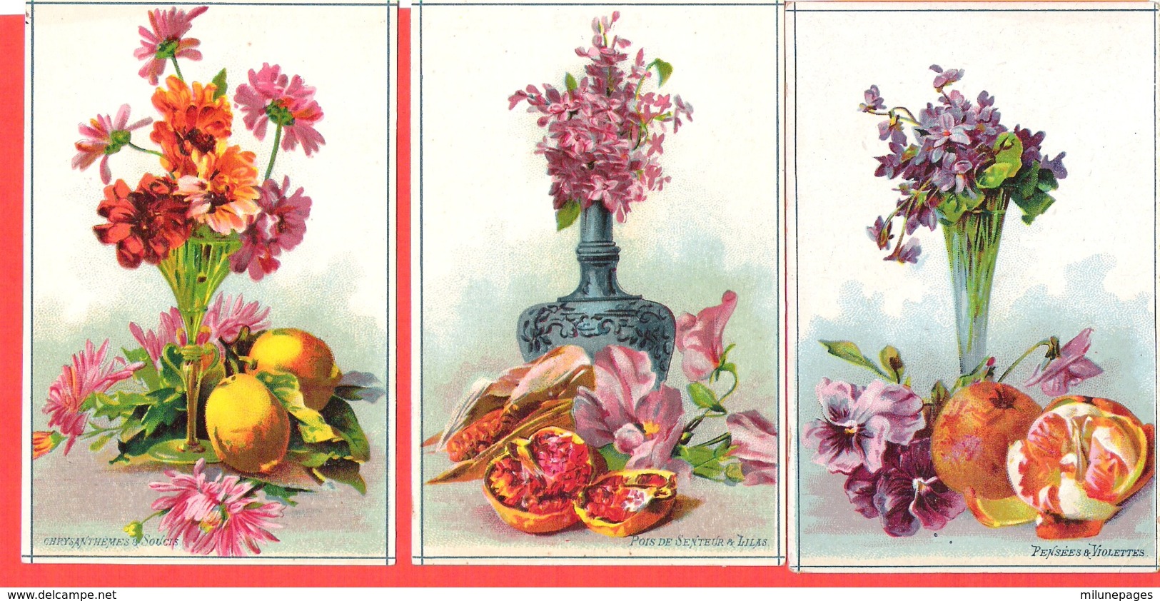 Lot 3 Chromos Bon Point Fleurs Et Fruits Lilas, Pansées, Soucis, Figues, Mandarines Citrons - Autres & Non Classés