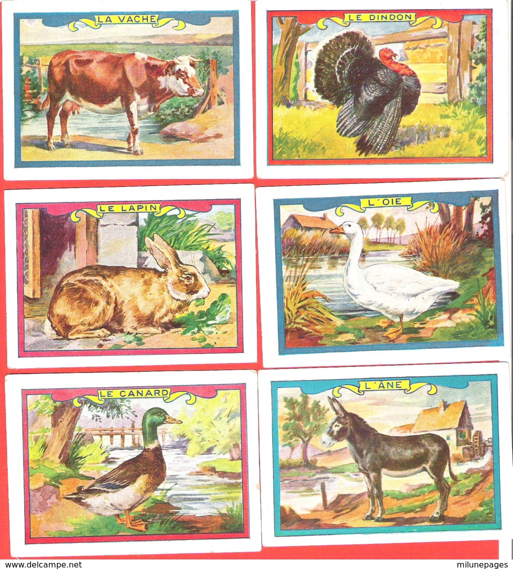 Lot 6 Chromos Bon Point Animaux De La Ferme Vache, Oie,Ane, Dindon, Lapin Canard - Autres & Non Classés