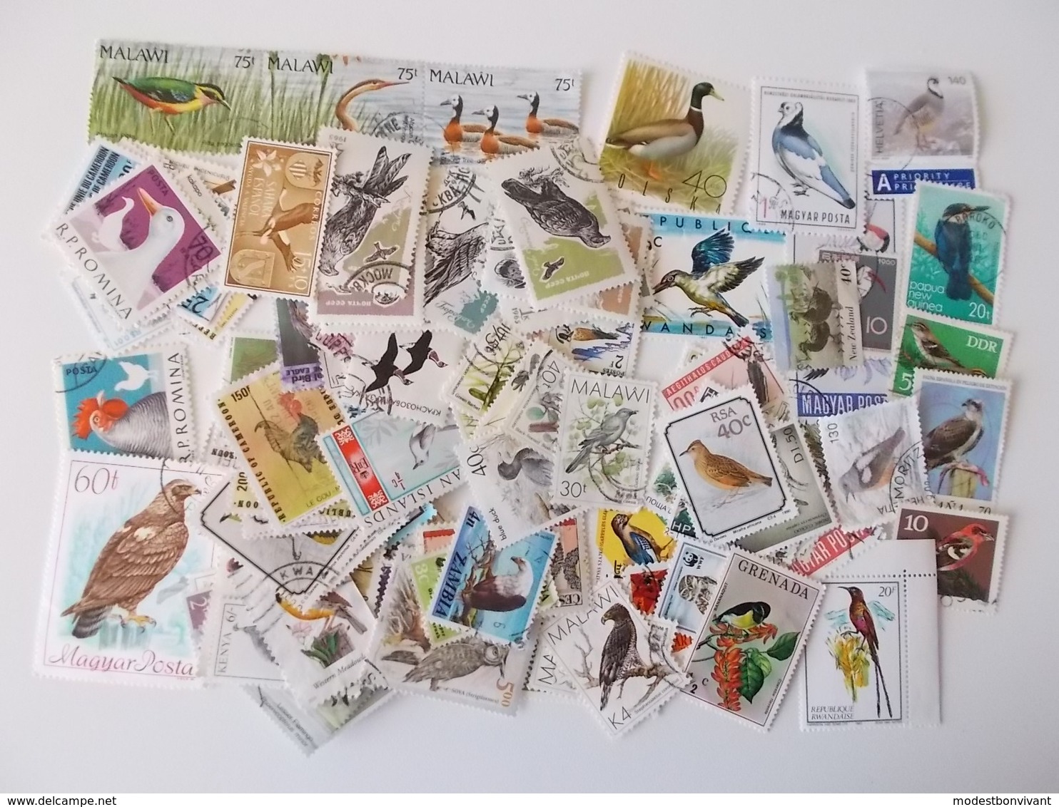 Lot # 16 - Lot Van 100+ VOGELS, Birds, Oiseaux, Kilowaar Off Paper, Worldwide, Vrac Niet Getrieerd - Autres & Non Classés