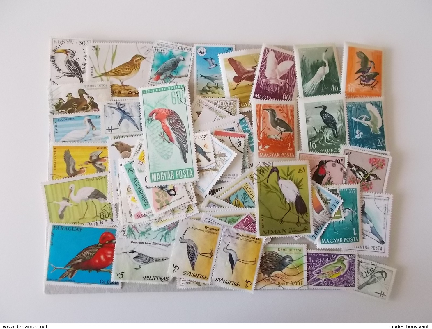 Lot # 17 - Lot Van 100+ VOGELS, Birds, Oiseaux, Kilowaar Off Paper, Worldwide, Vrac Niet Getrieerd - Otros & Sin Clasificación